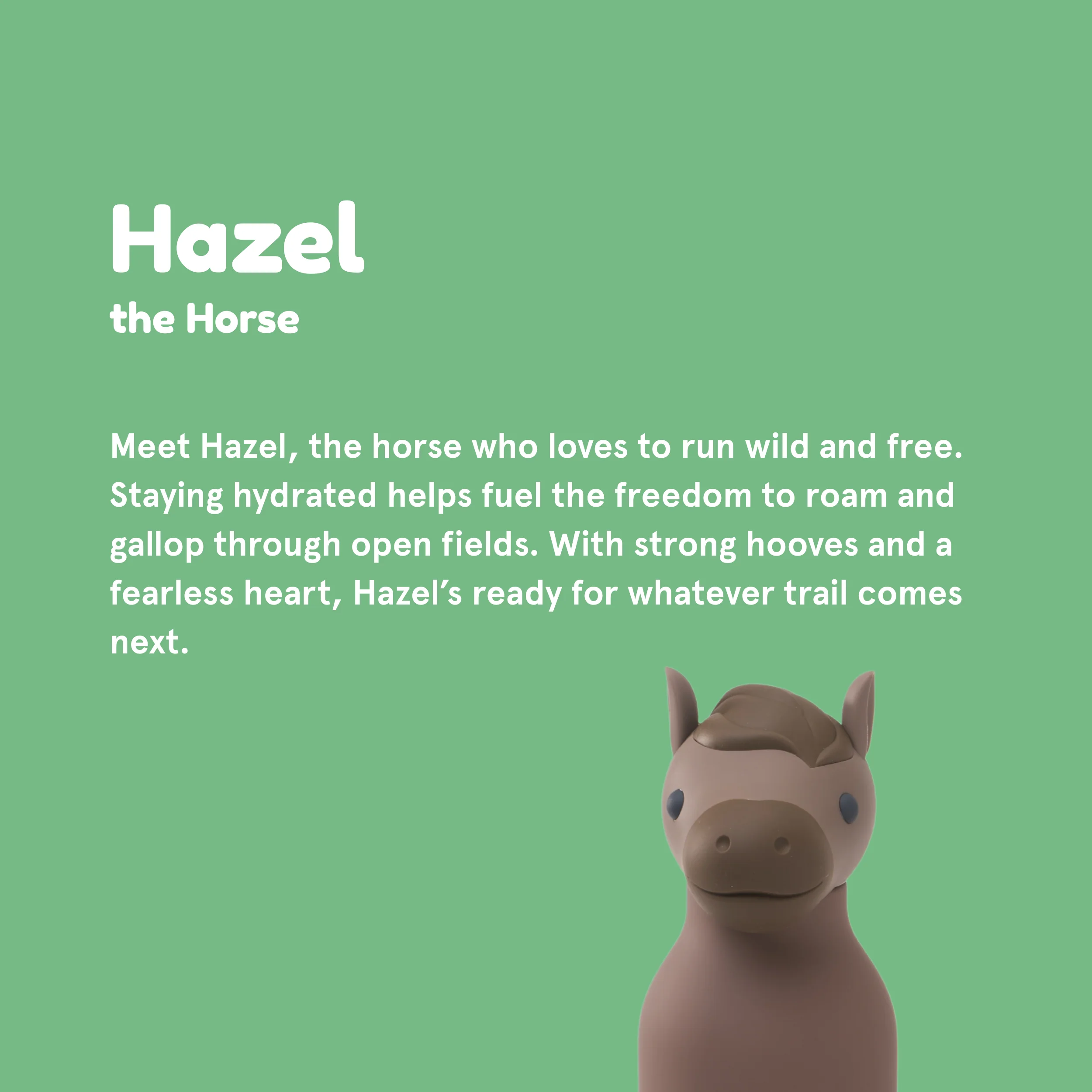 Asobu Horse Bestie Bottle - Image 2