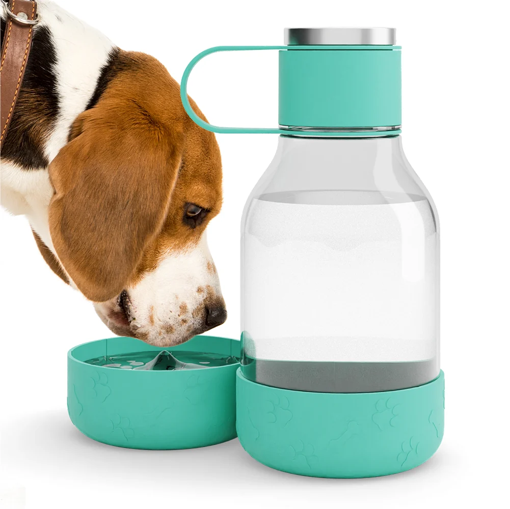 Asobu Teal Dog Bowl Bottle Lite